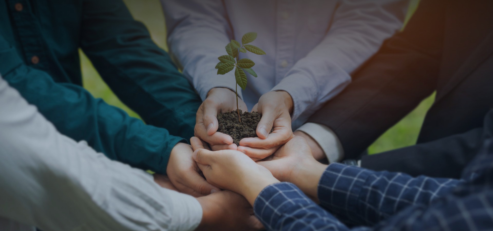 APL生态合作伙伴计划